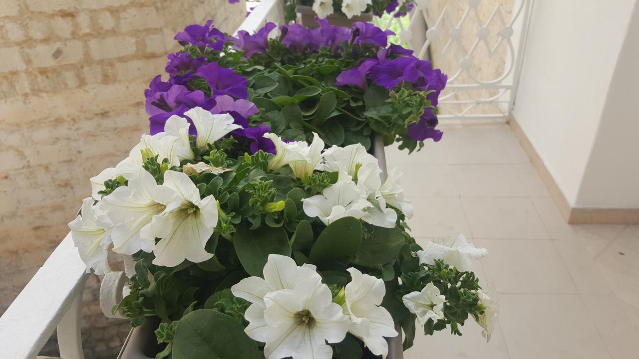 Matera Guest House מראה חיצוני תמונה